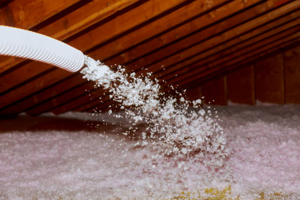 Best Attic Insulation Installation  in Wrightsville Beach, NC