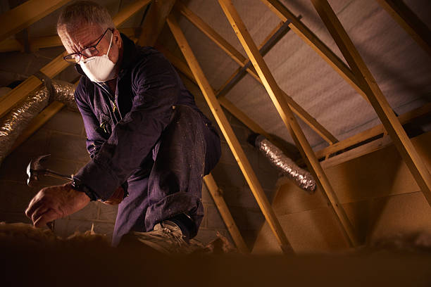 Best Energy-efficient Insulation  in Wrightsville Beach, NC