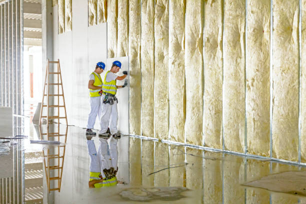 Best Insulation Repair Services  in Wrightsville Beach, NC